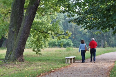 man tree nature forest woman bench 1100877 pxhere.com